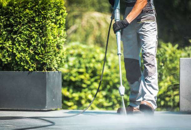 Best Dumpster Area Cleaning  in East Williston, NY